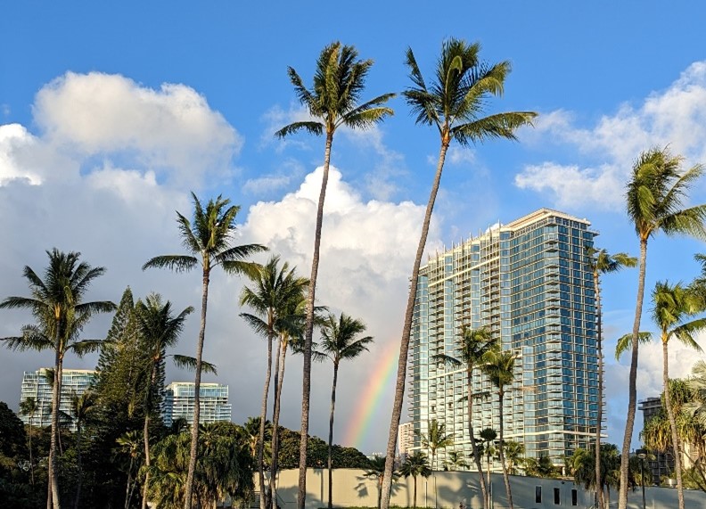 a blue sky in the foreground with clouds in the background and a rainbow between palm trees and a building
